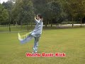 Wushu Kicks - ???? Wushu Kicks - ????