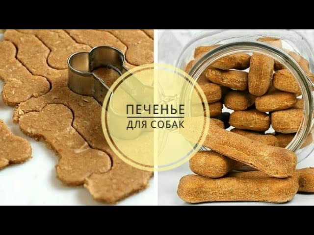 Cooking🍴: лакомства для собак своими руками 🐶