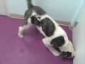 videos de Burnadette.wmv