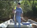 Boundary Waters-BWCA-Gunflint Trail-Grand Marais