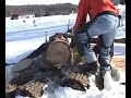 McCulloch 1-71 vintage chainsaw