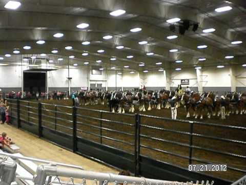 how to hitch two horses to a wagon
