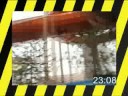 Cooking Hot Dog on a Wild Water Ride Cooking Hot Dog on a Wild Water Ride