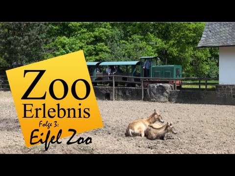 Lnebach: Eifel Zoo - Zoo Erlebnis #3