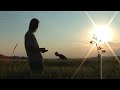 Pink Floyd_fat old sun by Psychadelic films Pink Floyd_fat old sun by Psychadelic films