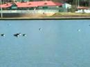 Lake in Roosevelt Park