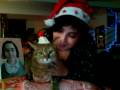 videos de vilaine vous souhaite bonne année !!!