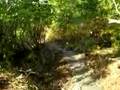 SCA Trail Project