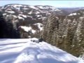 Bluewood back in the day!