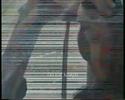 Tribute to Hav�rie