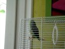 coco dit ;tu fais un p'tit bisou !!!