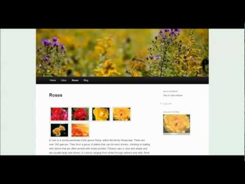 how to nextgen gallery wordpress