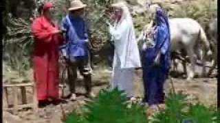 Tislatin Onzar ** Tifrkhin Tamazirt Vs Lmdint **