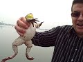 Frog Rescue in China