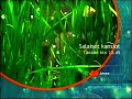 SubTV - Vesiposti / Ohjelmatietoja