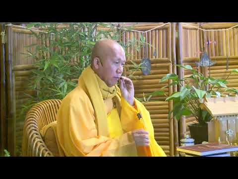 NIKAYA Thiền Quán - Không Có Ai Ở Đây Cả ! Thánh Trí Vô Ngã