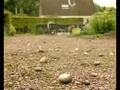 Vernielingen op begraafplaats in Terheijden