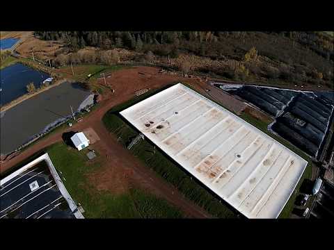 how to collect biogas