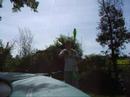 things-to-do-with-441.html