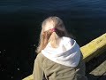 Wharf in Bauline Newfoundland Oct 2011