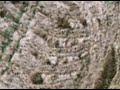 Crop circle of a Million Faces, Amazing potraits,, CTopalian