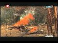 i-Witness - Ang Huling Sundalong Hapon (Part 1 of 4)