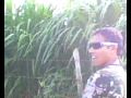 PEAO ABEL.avi
