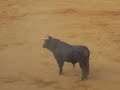 Recortadores en Alcorisa Fiestas 2007
