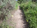 4/21/2010 Ride Part II