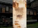 17 metamorphose.virtuell (Kunst Installation)