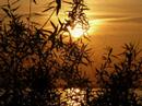 song by mark knopfler/dire straits. it's just about the song, i added some sunset pictures to illustrate it.