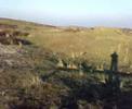 Egmondse duinen
