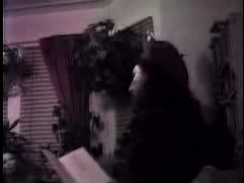 Enid Dame Reads "Lilith"