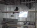 Assistir ao v�deo