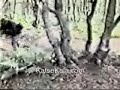 www.katsekala.com