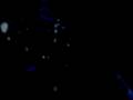 videos de 0293 329