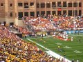 Ralphie V University Colorado buffaloes vs Texas