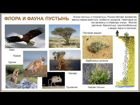 Учебник вслух - §48 "Южные безлесные зоны", География 8 класс, Полярная ...