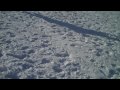 VID00001.mp4