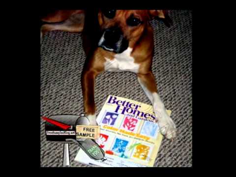 Free Sample Better Homes & Gardens Magazine