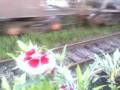 Estação de trem em Piraquara =D