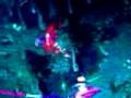 BEST DOTA DOUBLE KILL EVER - GG