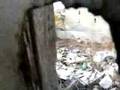 Updated: 614 7th Ave-Stopped before they began-Trash Talkin'
