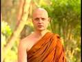Ajahn Jayasaro - What are the karmic consequences ... ?