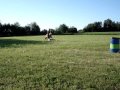 Jumping 2.7, Hoppning 2.7