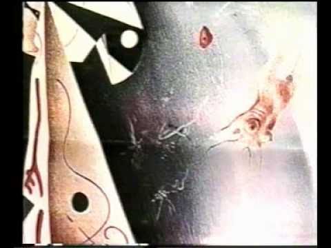 زهره امير ابراهيمي