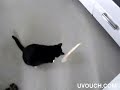 Оговоркы Любимчика