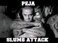 Peja - Szacunek ludzi ulicy (4est Remix)