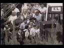 Documental 