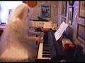 Mendelssohn - Wedding March Theme for Organ Mendelssohn - Wedding March Theme for Organ